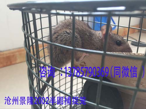 QQ图片20160731084511