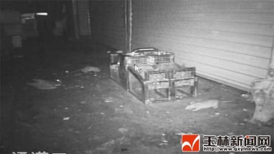 耗资40万他研发出环保捕鼠器 已获得国家专利保护