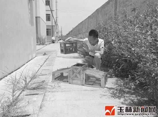 耗资40万他研发出环保捕鼠器 已获得国家专利保护