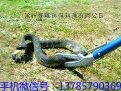 景隆抓蛇杆 捕蛇杆原理 地笼捕黄鳝 捕泥鳅工具图1