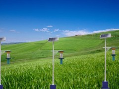 景观灯,景观灯价格,各种样式景观灯,景观灯厂家沧州景隆图3