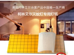 粘捕式灭蝇灯专用灯纸图2