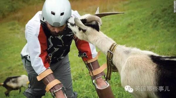 老鼠穿化纤内裤导致性欲下降?今年搞笑诺贝尔奖这一波,你给几分?? 老鼠穿化纤内裤导致性欲下降?今年搞笑诺贝尔奖这一波,你给几分??