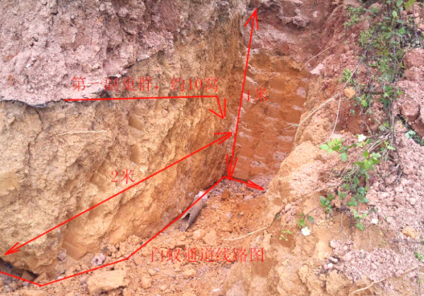 超级震撼！三天挖出巨型白蚁巢穴 活捉30年蚁后(组图)
