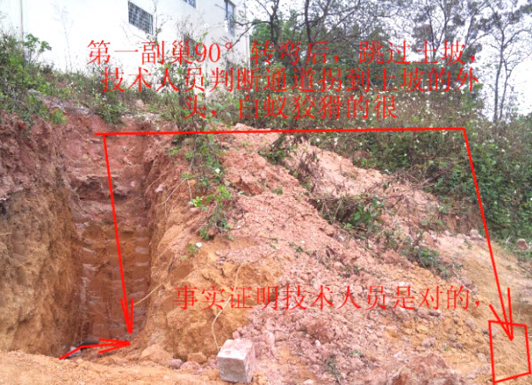 超级震撼！三天挖出巨型白蚁巢穴 活捉30年蚁后(组图)