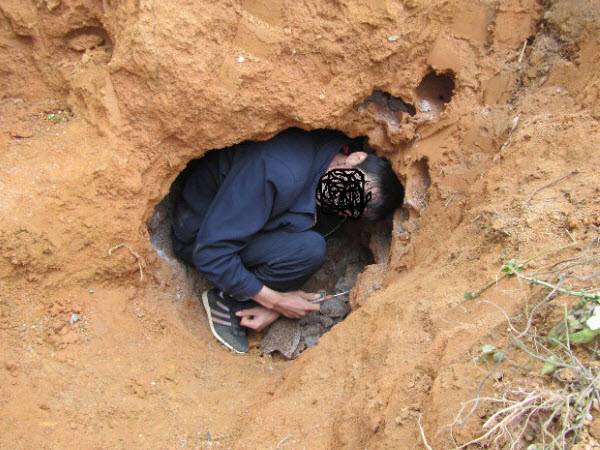 超级震撼！三天挖出巨型白蚁巢穴 活捉30年蚁后(组图)