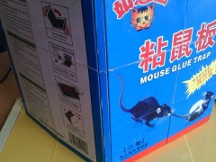 厂家销售 如意猫粘鼠板加厚老鼠粘老灭鼠器夹图2