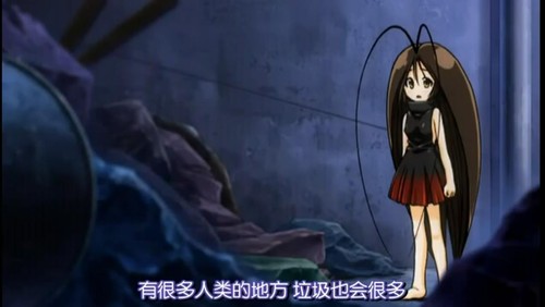 天气转冷 电视也许会成为蟑螂温暖的家