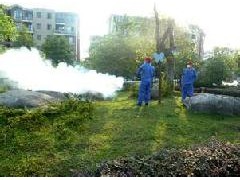 武汉除四害服务图2