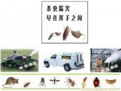 武汉消杀蚊蝇服务图2
