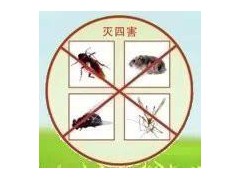 武汉防治蟑螂服务图1