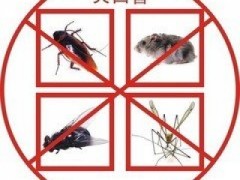 武汉捕鼠服务图3