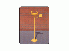 产品名称	B1立式型紧急北京洗眼器厂家直销(亚光)图1