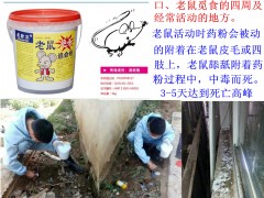 老鼠绝杀追命粉图2