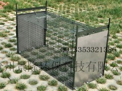 狗笼子 捕狗的折叠捕捉笼 厂家直销批发图3