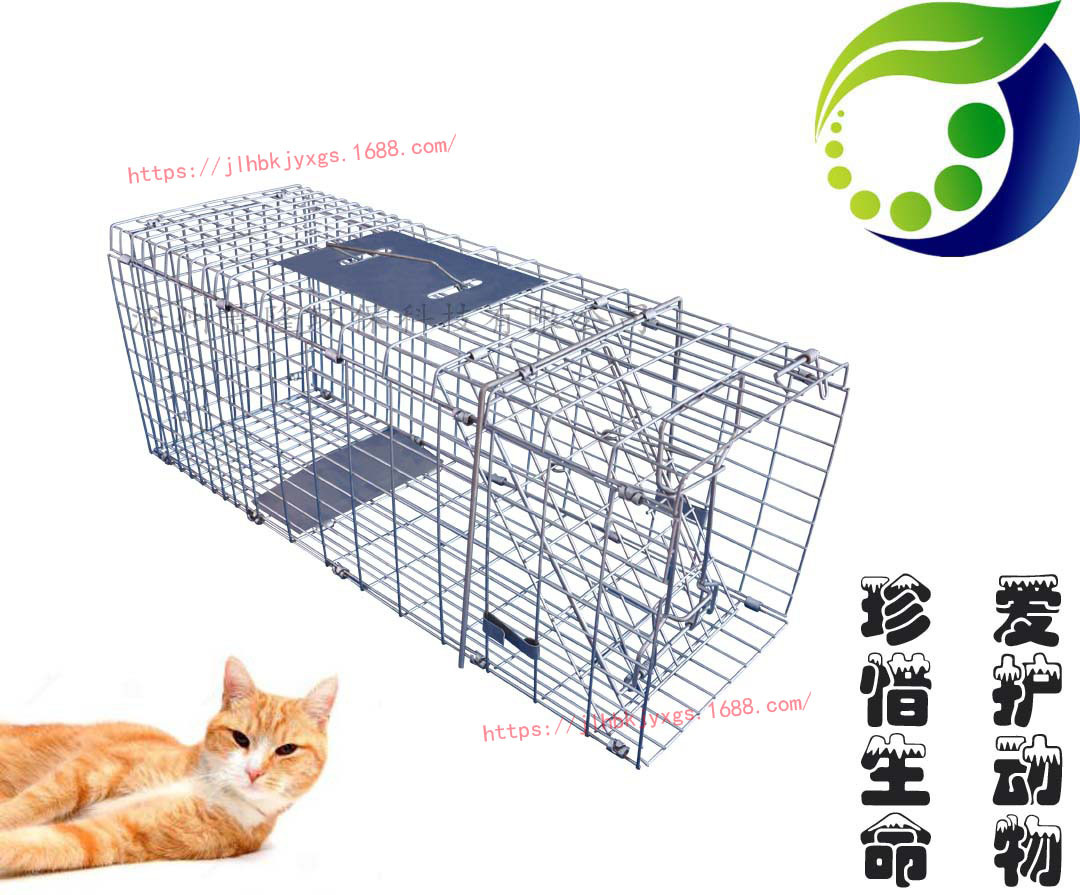 2896581132_2137727501