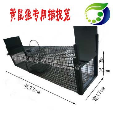 黄鼠狼笼标注图