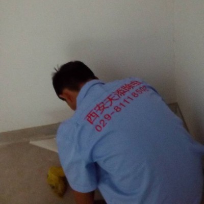 西安灭跳蚤公司81118502专业家庭灭跳蚤