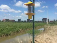 频振式杀虫灯/诱虫灯/杀虫灯/灭蚊灯/ 黑光灯/杀虫灯农用图2