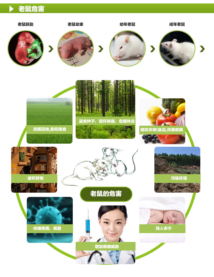 19-灭鼠毒饵盒03--详情_06