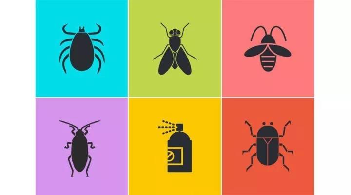 微信图片_20180131171820