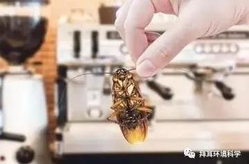 微信图片_20180131171840