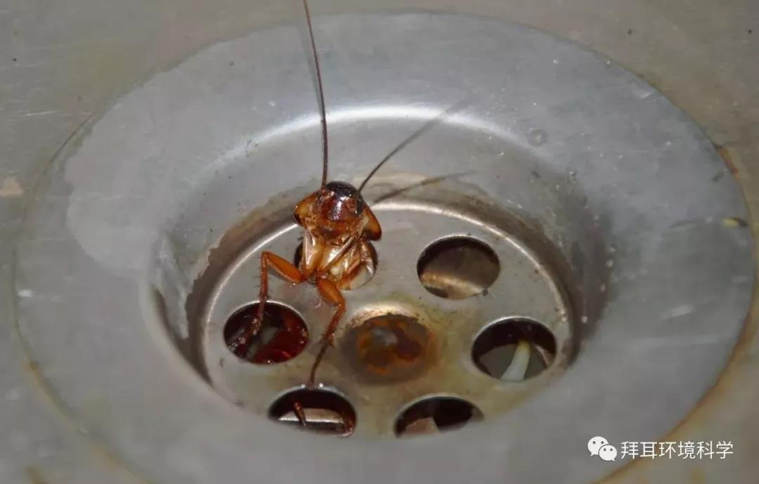 微信图片_20180131172036