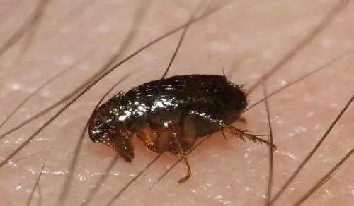 微信图片_20180131172153