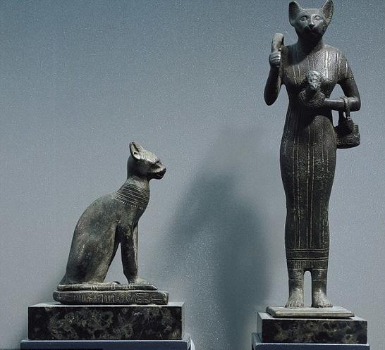 微信图片_20180201153436