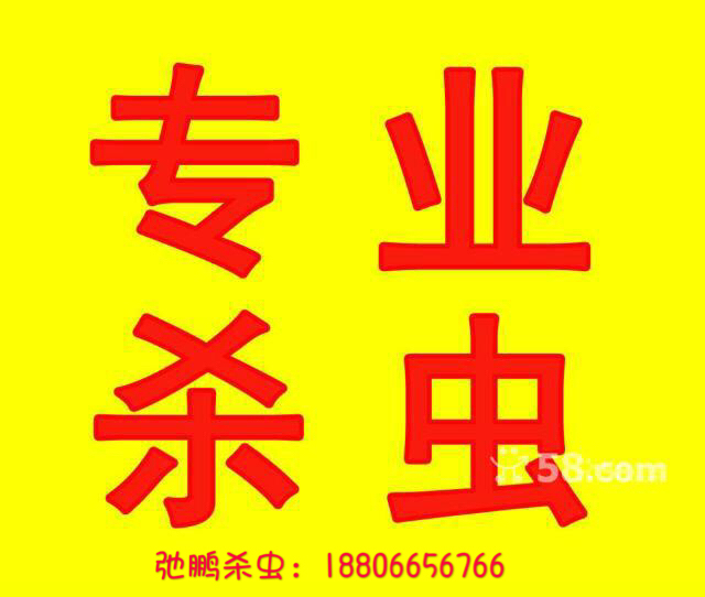 南山杀虫消毒公司,宝安杀虫消毒公司,西乡杀虫消毒公司图2